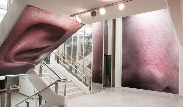 Photograph that shows stairwell at The National Gallery of Iceland, where two large pictures of a nose and an ear have been hung. 
